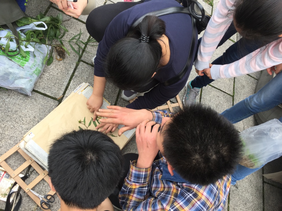 3044am永利集团官网