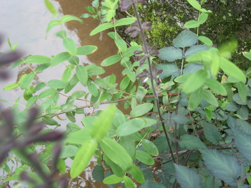 3044am永利集团官网