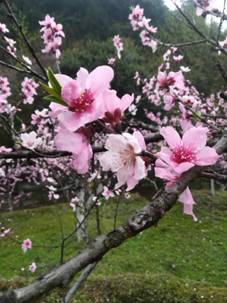 3044am永利集团官网