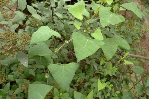 3044am永利集团官网