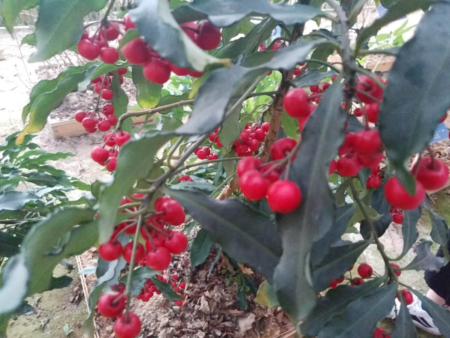 3044am永利集团官网