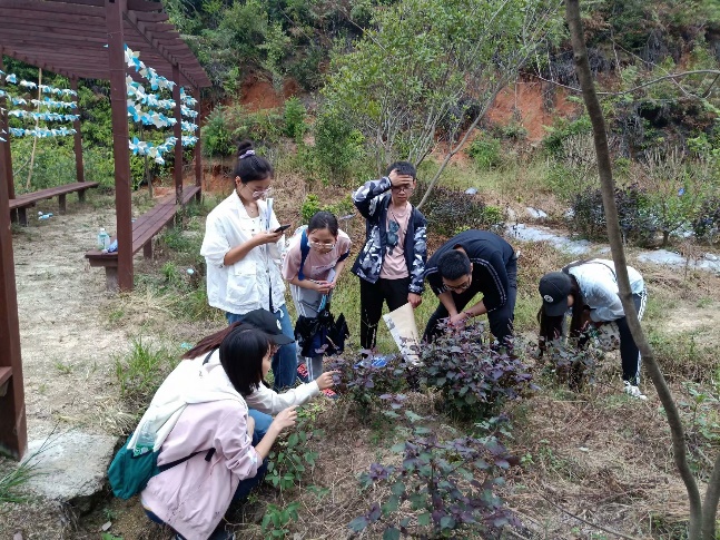 3044am永利集团官网