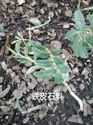 3044am永利集团官网