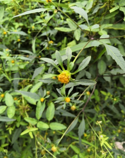 3044am永利集团官网