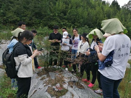 3044am永利集团官网