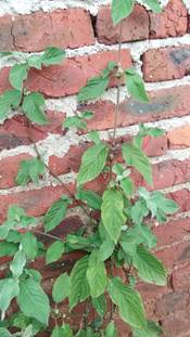 3044am永利集团官网