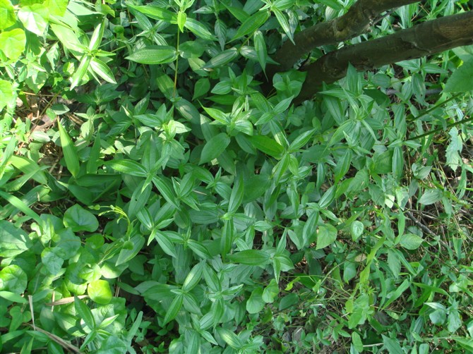 3044am永利集团官网