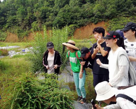 3044am永利集团官网