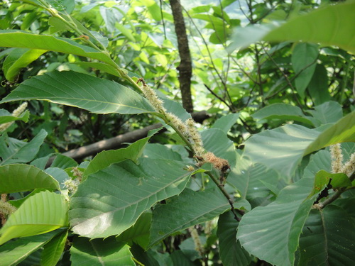 3044am永利集团官网