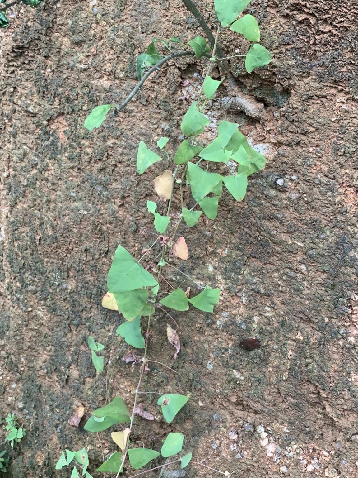 3044am永利集团官网