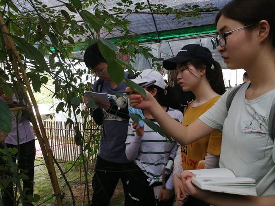 3044am永利集团官网