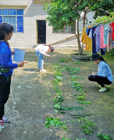 3044am永利集团官网