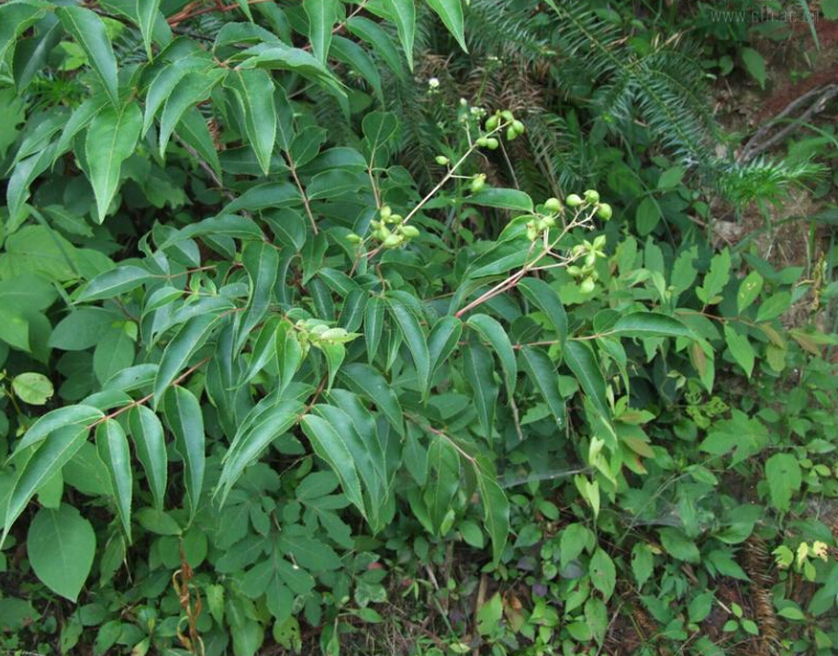 3044am永利集团官网