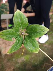 3044am永利集团官网