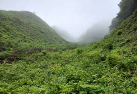 3044am永利集团官网