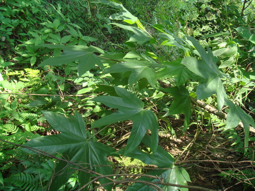 3044am永利集团官网