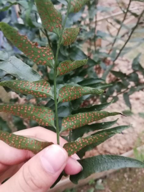 3044am永利集团官网