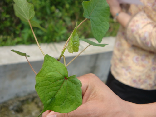 3044am永利集团官网