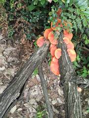 3044am永利集团官网