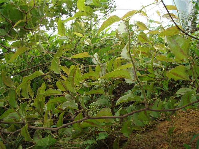 3044am永利集团官网