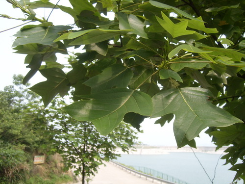 3044am永利集团官网