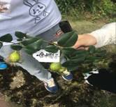 3044am永利集团官网