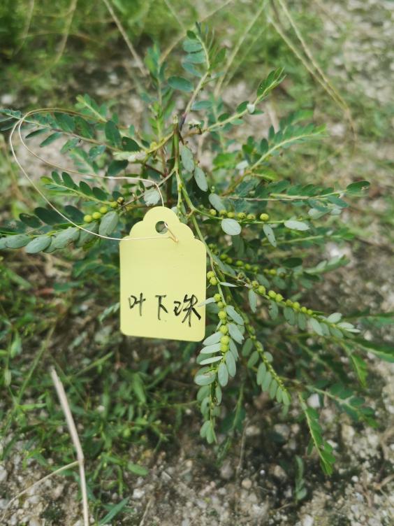 3044am永利集团官网