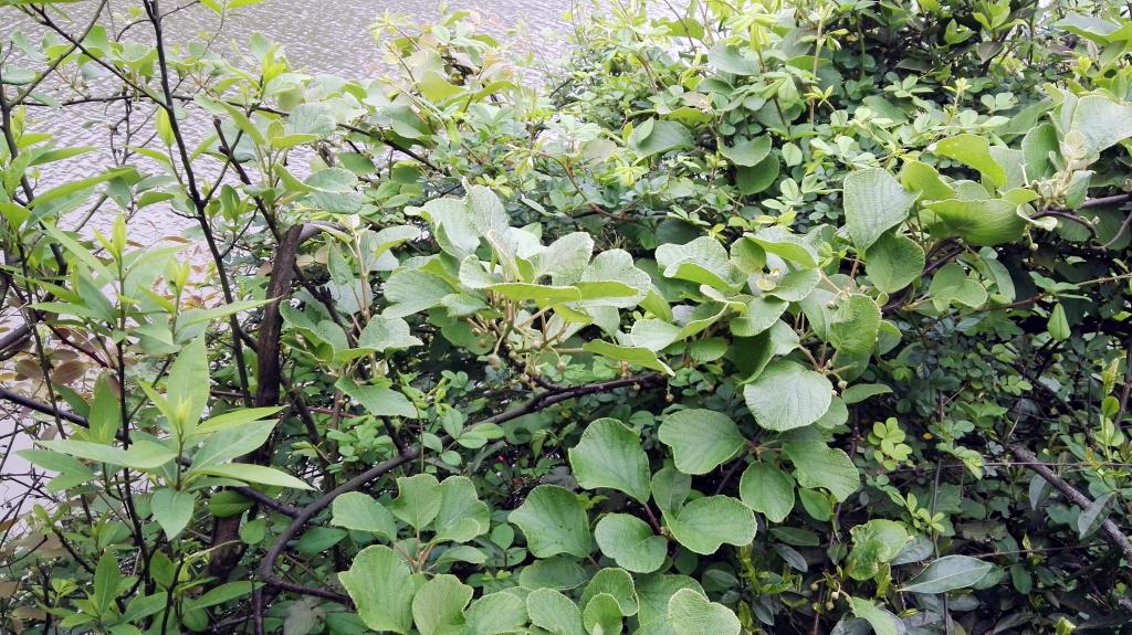 3044am永利集团官网