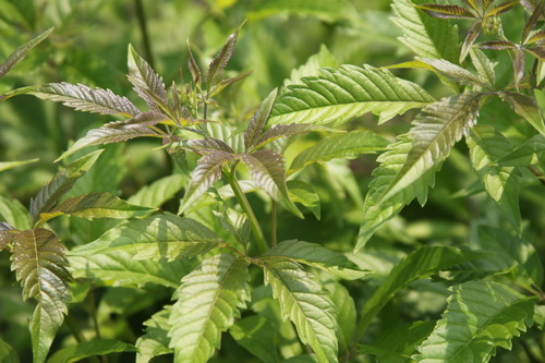 3044am永利集团官网