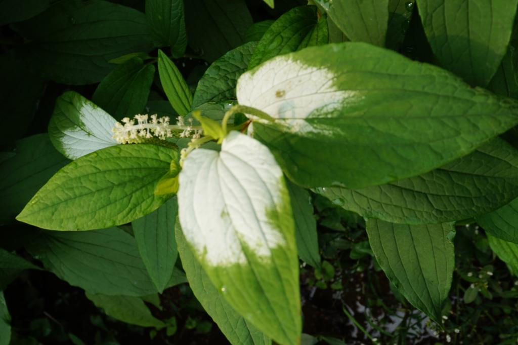 3044am永利集团官网