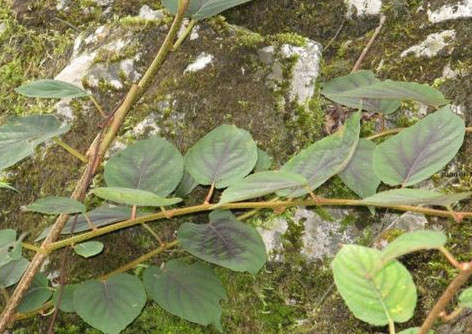 3044am永利集团官网