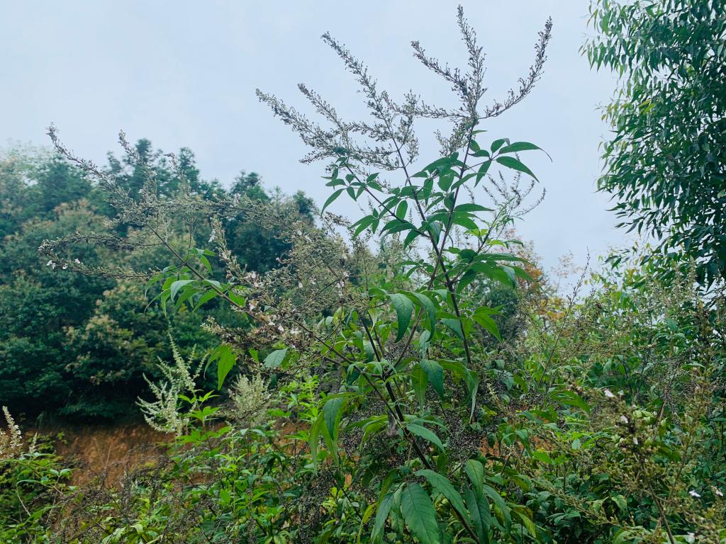 3044am永利集团官网