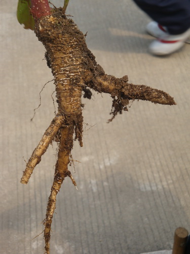 3044am永利集团官网