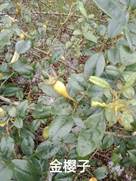 3044am永利集团官网