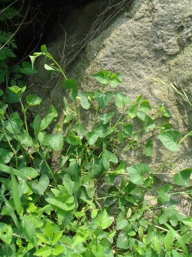 3044am永利集团官网