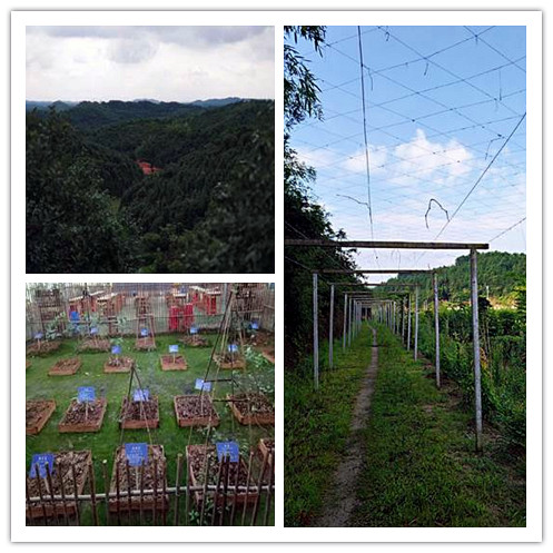 3044am永利集团官网