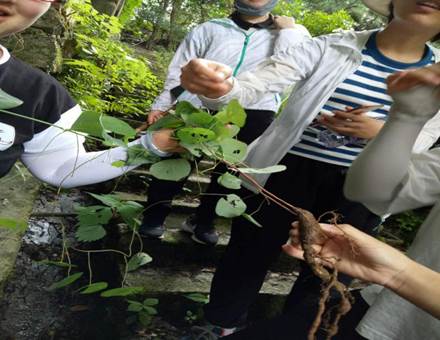 3044am永利集团官网