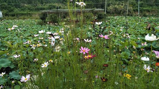 3044am永利集团官网