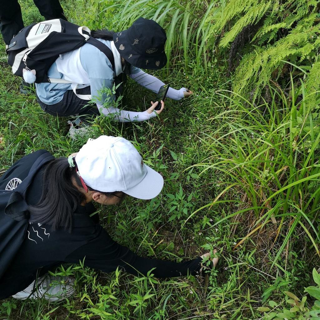 3044am永利集团官网