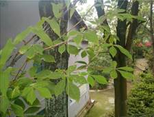 3044am永利集团官网