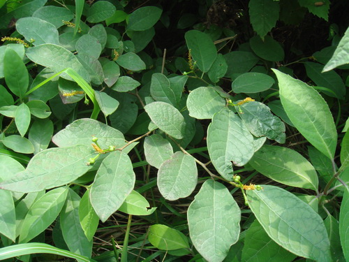 3044am永利集团官网