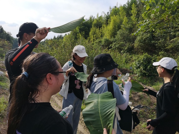 3044am永利集团官网