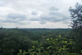 3044am永利集团官网