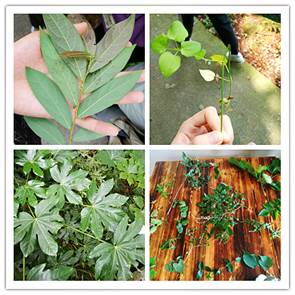 3044am永利集团官网