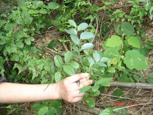 3044am永利集团官网