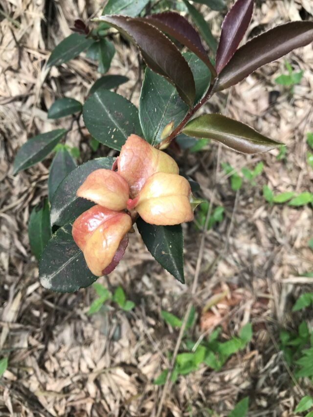 3044am永利集团官网