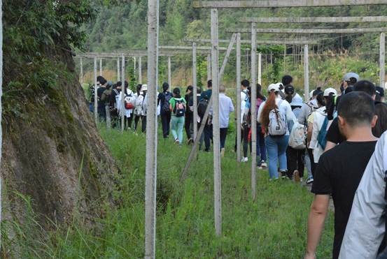 3044am永利集团官网