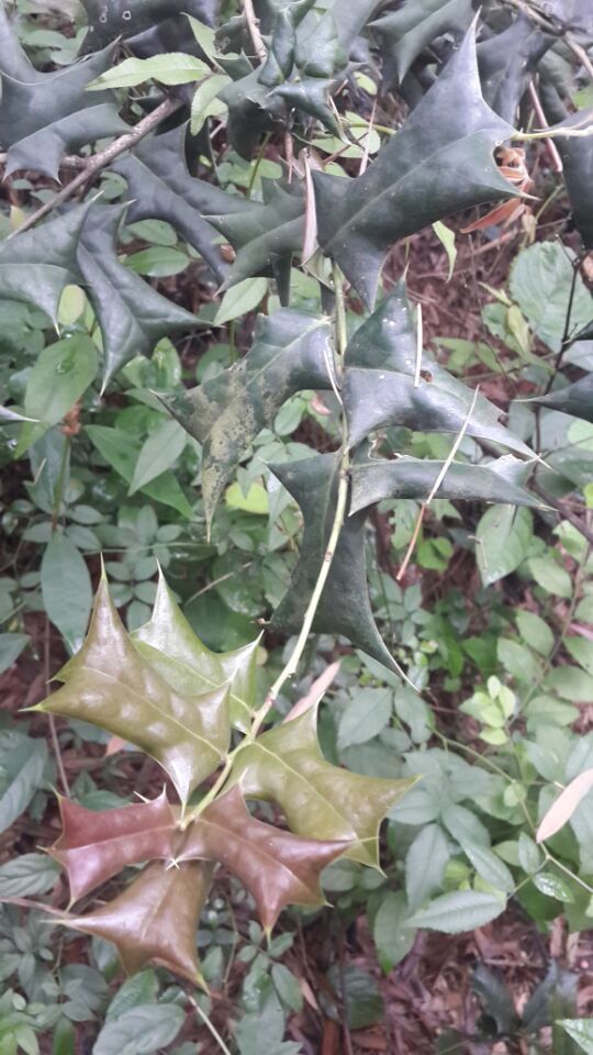 3044am永利集团官网