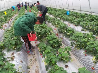 3044am永利集团官网