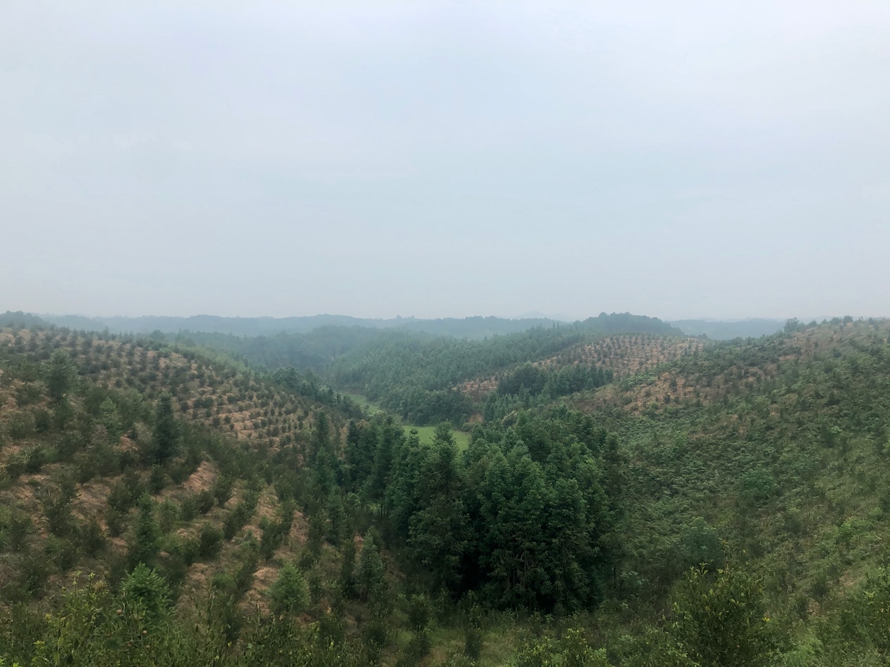 3044am永利集团官网